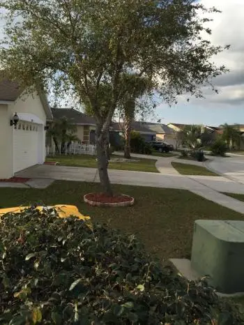 Affordable Orlando Villa Rentals 6